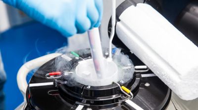 Oppbevaring av fryste embryo