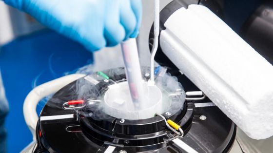 Oppbevaring av fryste embryo Oppbevaring av fryste embryo