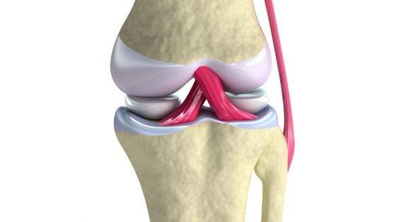Hva er meniskskade?