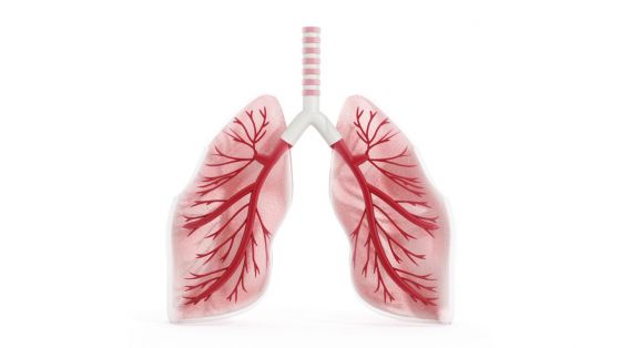 Hva viser resultatet av spirometri undersøkelsen?